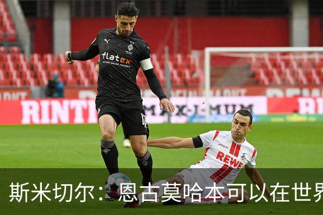 斯米切尔：恩古莫哈本可以在世界杯改变局势，但他能参加下一届
